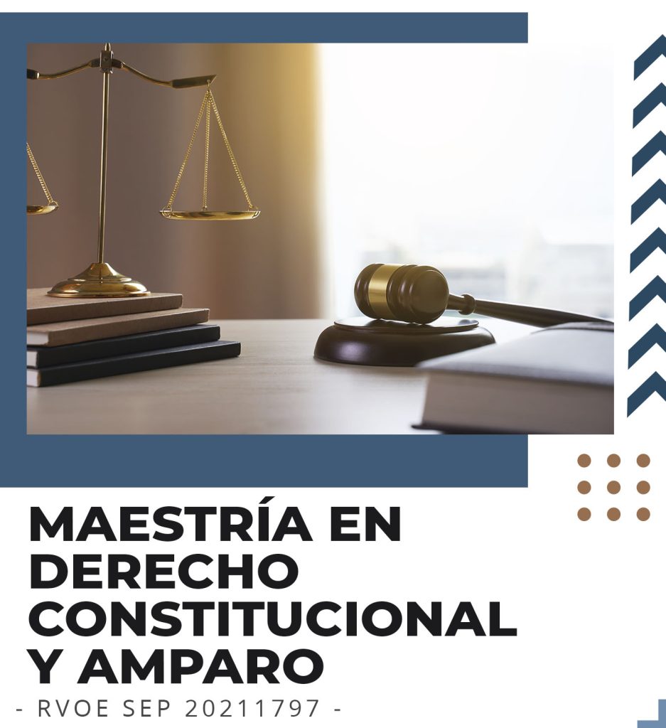 Maestría_Derecho_Constitucional _Amparo_dentro_up