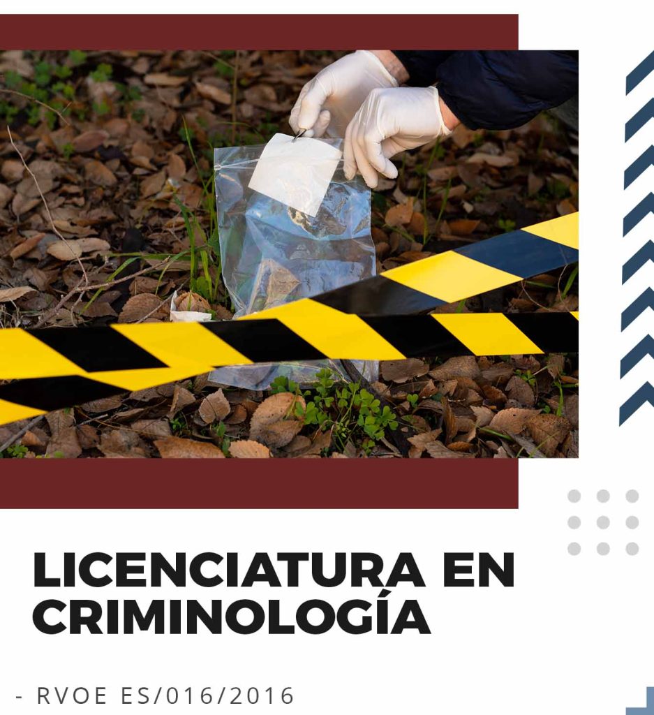 Licenciatura en Criminología